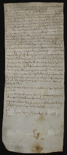 29 B.1.XXIXr, Acquisto fatto da Maria da Castelvetro, Villa Saliceto, 988, nov. 3