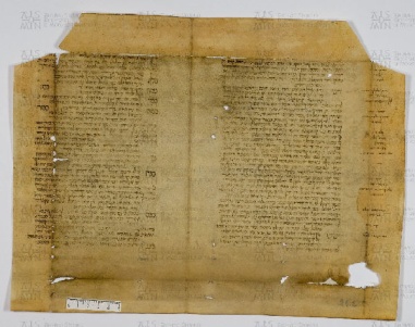 Pergamene ebraiche ACAMO 2-63, s.s - 26.1b