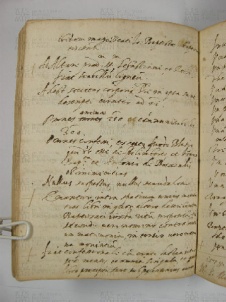 O.VI.1 Viste Pastorali 1575-1577 - pag. 113v Casinalbo 1576