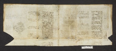 Pergamene ebraiche ACMO 1-103, App. 1-3 - pag. 43.2a