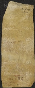77 B.20.LXXVIIv, Acquisto fatto da Ingone vescovo di tre pezze di terra poste in Zebolino e Lonolido, Modena, 1033, mag. 12