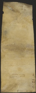 87 D.16.LXXXv, Investitura fatta da Dodone vescovo a favore di Uberto da Magreda, Modena, 1133, ott. 22