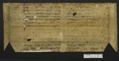 Pergamene ebraiche ACMO 1-103, App. 1-3 - pag. 33.2b