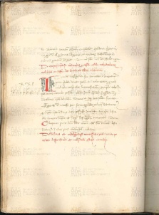 ACMo O.V.32 - pag. 062v