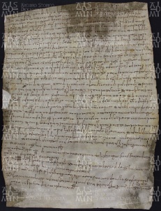 16 A.13.XVIr, Donazione fatta da Domenico da Cittanova a favore di Guido vescovo e della sua chiesa, Modena, 943, dic. 28