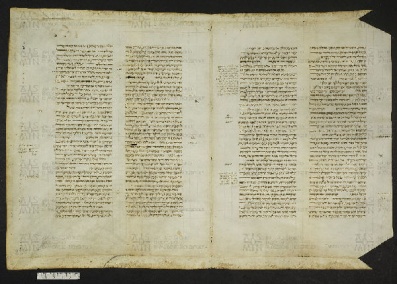 Pergamene ebraiche ACMO 1-103, App. 1-3 - pag. 81.1a