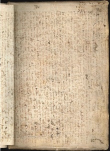 ACMo O.V.32 - pag. contropiatto posteriore