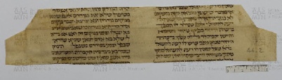 Pergamene ebraiche ACAMO 2-63, s.s - 44.2a