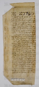 Pergamene ebraiche ACAMO 2-63, s.s - 9.2a