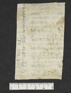 Pergamene ebraiche ACMO 1-103, App. 1-3 - pag. 101.3b