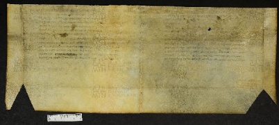 Pergamene ebraiche ACMO 1-103, App. 1-3 - pag. 52.2b