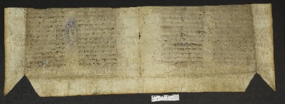 Pergamene ebraiche ACMO 1-103, App. 1-3 - pag. 54.2b