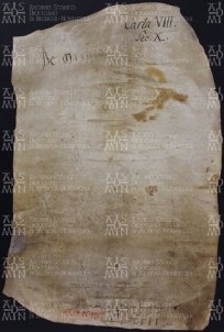 8 A.11.VIIIv, Donazione fatta da Luxeverto e da Martino da Magreta a favore di Gotefredo vescovo, Castello presso CIttanova, 911, apr. 12