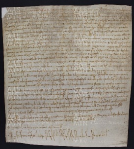 14 B.7.XIVr, Donazione fatta da Stefano d'Ildeprando da Panzano a favore di Varino vescovo, Modena, 1014, ott. 22