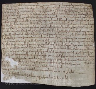 32 B.2.XXXIIr, Donazione fatta da Filippo da Formigine e Anselmina sua moglie a favore di Ildeprando vescovo, Modena, mag. 993