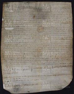 47 B.14.XLVIIr, Investitura fatta da Ingone vescovo e Ardrico abbate a favore di Teuzone e di SIgefredo e Adelberto da Modena, Modena, 1027, gen