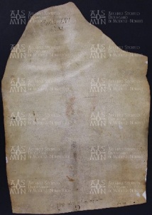 56 B.16.LVIv, Investitura fatta da Ingone vescovo a favore dei fratelli Roberto e Giovanni da Fredo, Modena, 1029, nov. 23