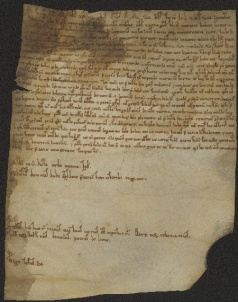 35 D.7.XXXIr, Investitura fatta da Dodone vescovo a favoe di Giovanni e Pietro da Bazovara, Modena, 1115, ago. 26