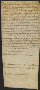 59 D.11.LVr, Investitura fatta da Dodone vescovo a favore di Raimondo, Uberto e Ingelfredo da Ligorzano, Modena, 1126, ago. 16