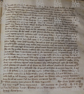 24.I(H) c. CIV (cod. O.III.27) Enfiteusi a 3a generazionea Pietro e Beata figli di Pietro chierico da Modeva di tre pezze di terra  1110  27 sett