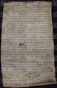 16 A.5.XVIIr, Investitura fatta da Giona vescovo a favore di Ariperto prete, Modena, 856, apr. 28
