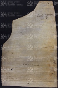19 A.13.XIXv, Investitura fatta da Guido vescovo a favore di Martino da Plumbarino, Modena, 962, mar. 18