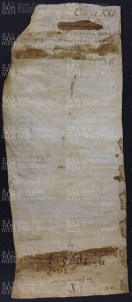 20 A.7.XXIv, Investitura fatta da Leodoino vescovo a favore di Orso, Savignano, 871, ago. 7