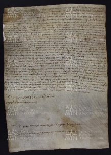 16 B.8.XVIr, Investitura fatta da Varino vescovo a favore di Berno da Polinago, Modena, 1015, ott. 11