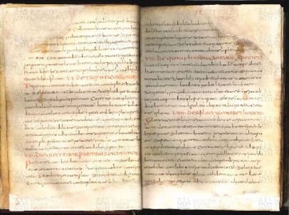 ACMo O.I.17 - pag. 16