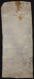 29 B.1.XXIXv, Acquisto fatto da Maria da Castelvetro, Villa Saliceto, 988, nov. 3
