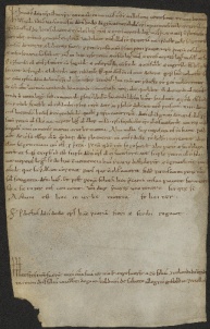 76 D.15.LXXIr, Rinnovazione d'investitura fatta da Dodone vescovo a favore di Pietro da Saliceto, Modena, 1128, giu. 22