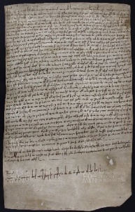 35 B.11.XXXVr, Investitura fatta da Ingone vescovo a favore di Norberto e Azza sua moglie, Modena, 1025, giu.