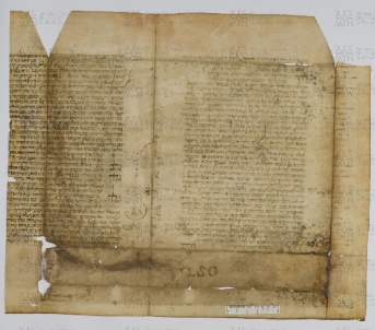 Pergamene ebraiche ACAMO 2-63, s.s - 27.1a