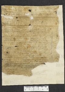 Pergamene ebraiche ACMO 1-103, App. 1-3 - pag. 39.4b