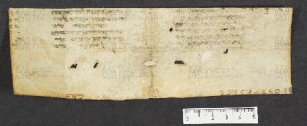 Pergamene ebraiche ACMO 1-103, App. 1-3 - pag. 44.3b