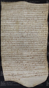 11 A.12.XIr, Donazione fatta da Maria da Lupaciana a favore di Gotefredo vescovo, San Felice, 927, lug.