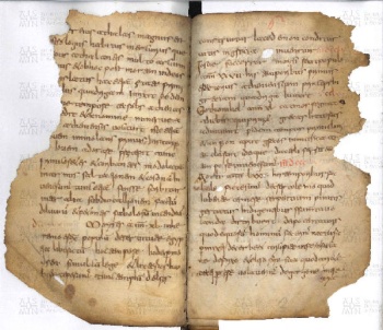 ACMo O.I.11 - pag. 6