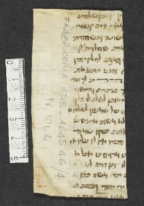 Pergamene ebraiche ACMO 1-103, App. 1-3 - pag. 101.4a