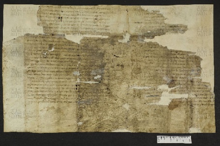 Pergamene ebraiche ACMO 1-103, App. 1-3 - pag. 39.2a