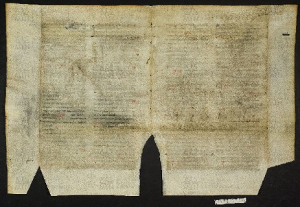 Pergamene ebraiche ACMO 1-103, App. 1-3 - pag. 50.1b