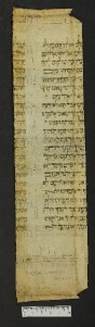Pergamene ebraiche ACMO 1-103, App. 1-3 - pag. 79.2a